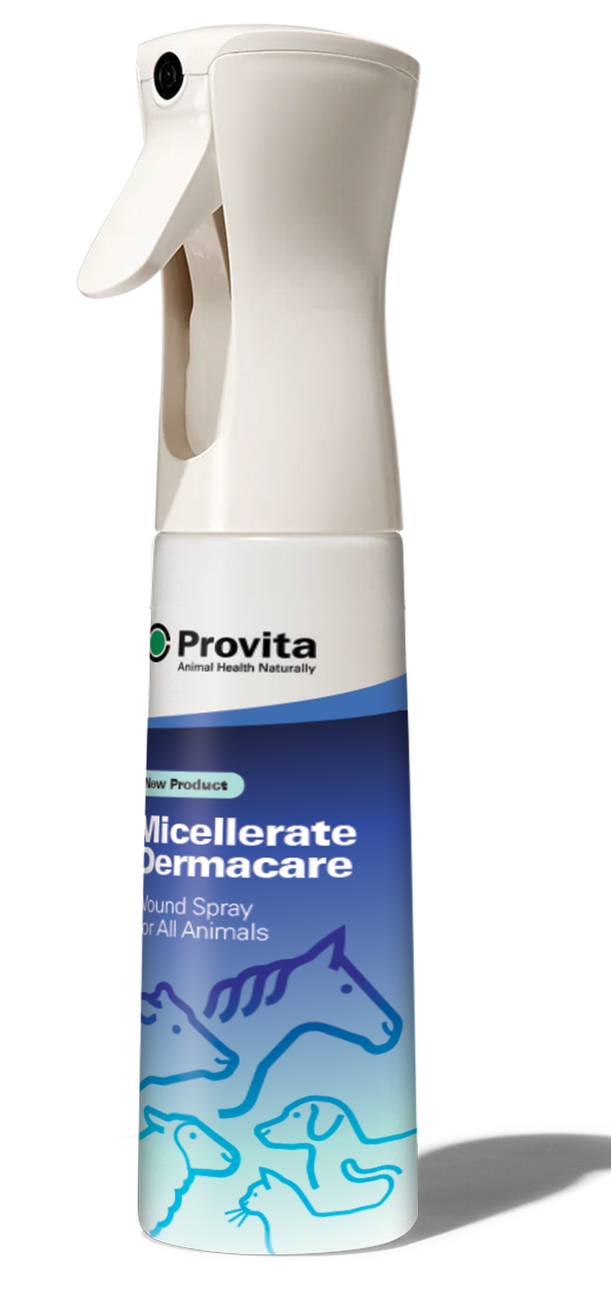 Provita Micellerate Navel Spray - 500ml