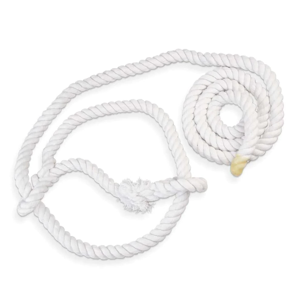 White Bull Show Halter