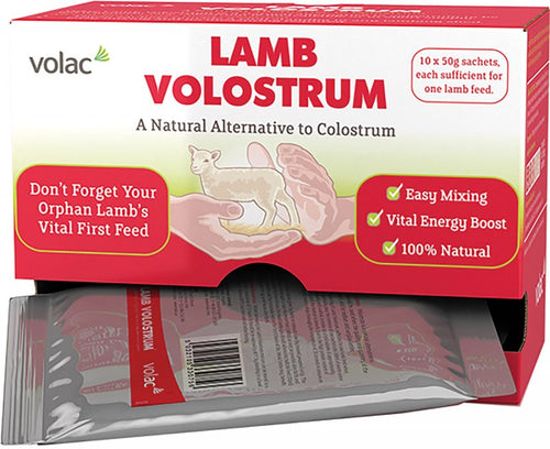 Lamb Volostrum
