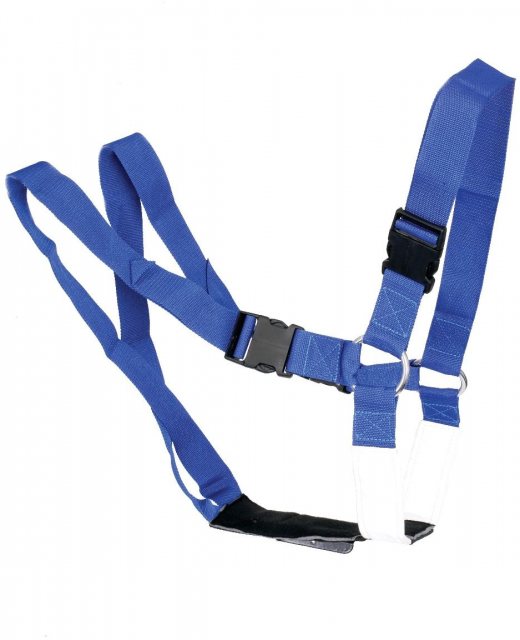 Ram Harness