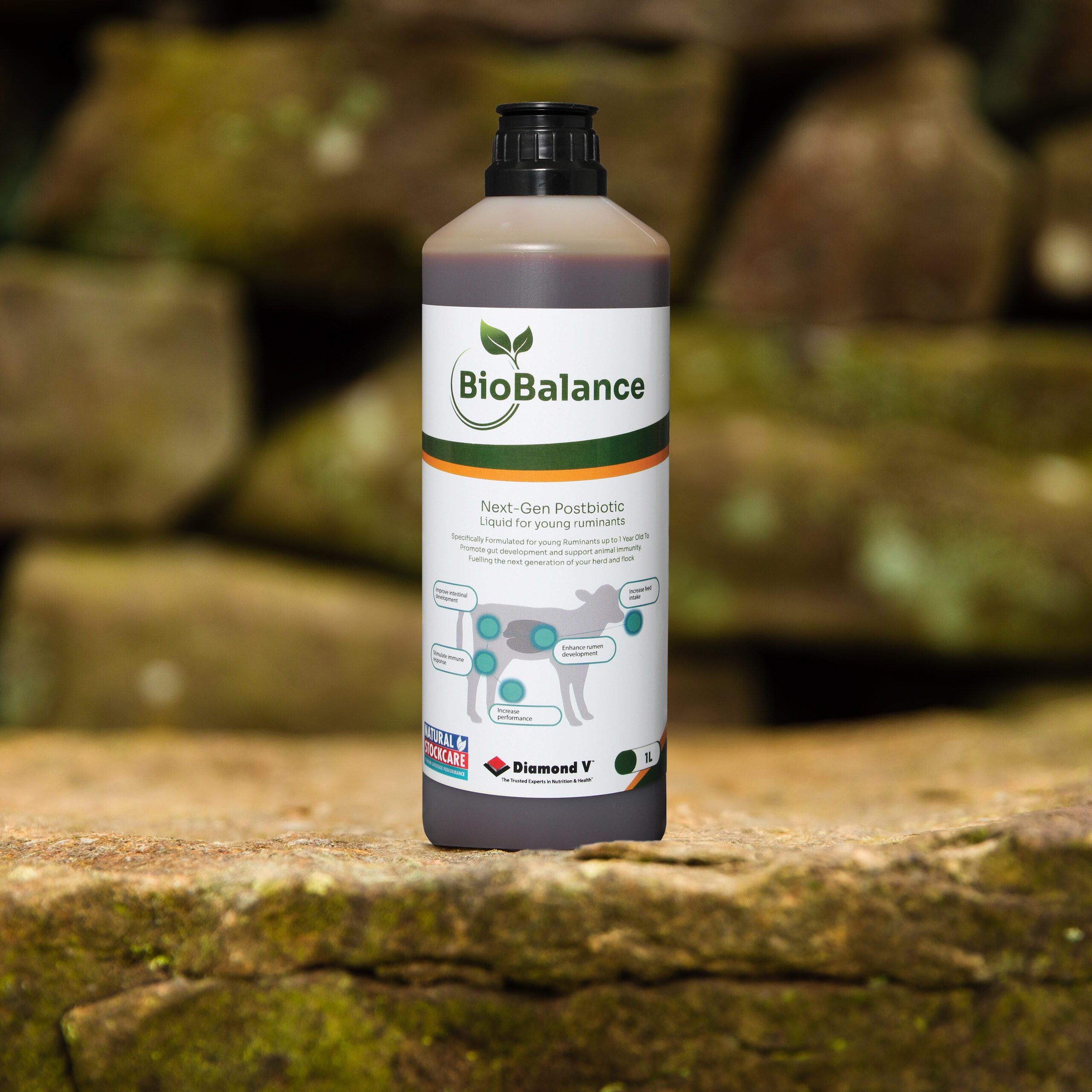 BioBalance
