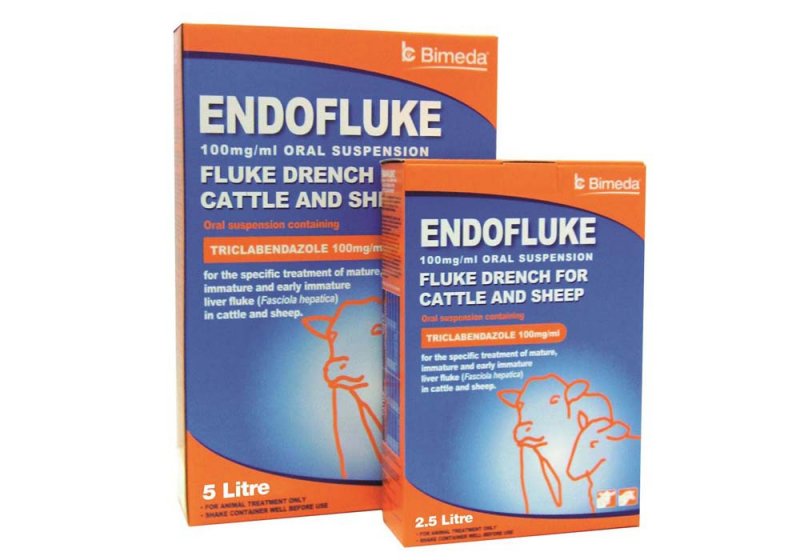 Endofluke 100mg/ml Oral Suspension