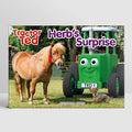 Herb's Surprise Storybook