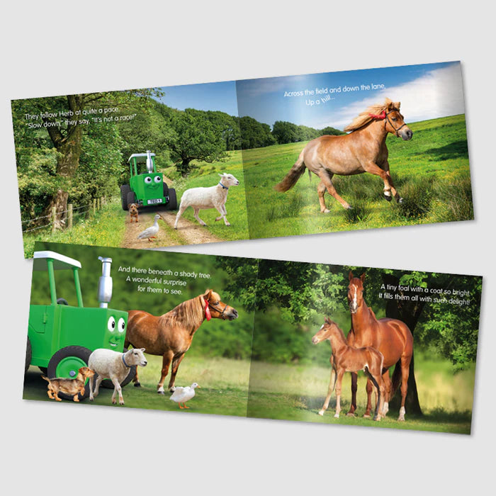 Herb's Surprise Storybook