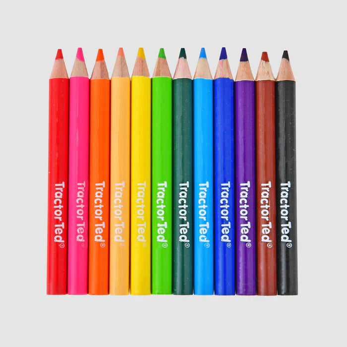 TRACTOR TED COLOURING PENCIL TUBE