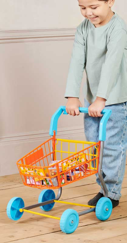 CASDON SHOPPING TROLLEY