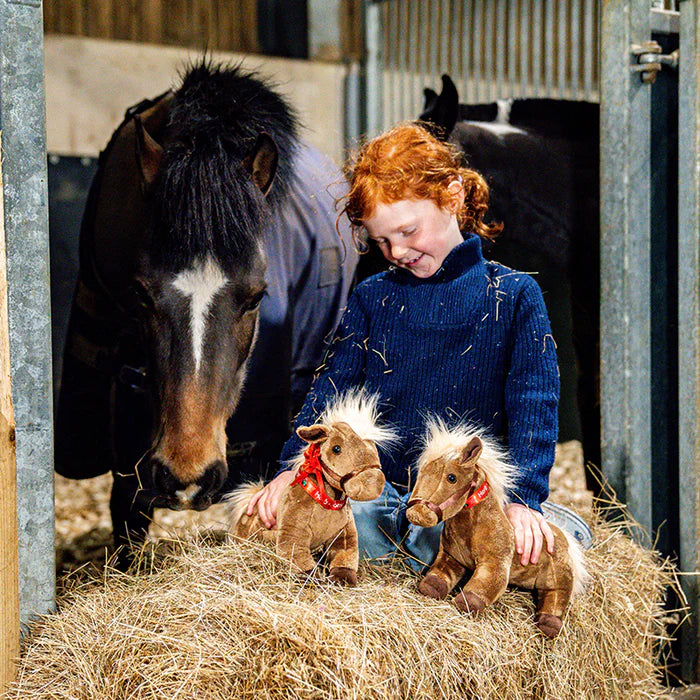 Herb the Pony Soft Toy