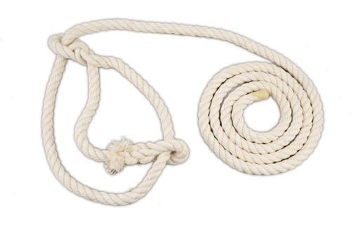 Calf halter - white cotton - 10mm x 3.6mts