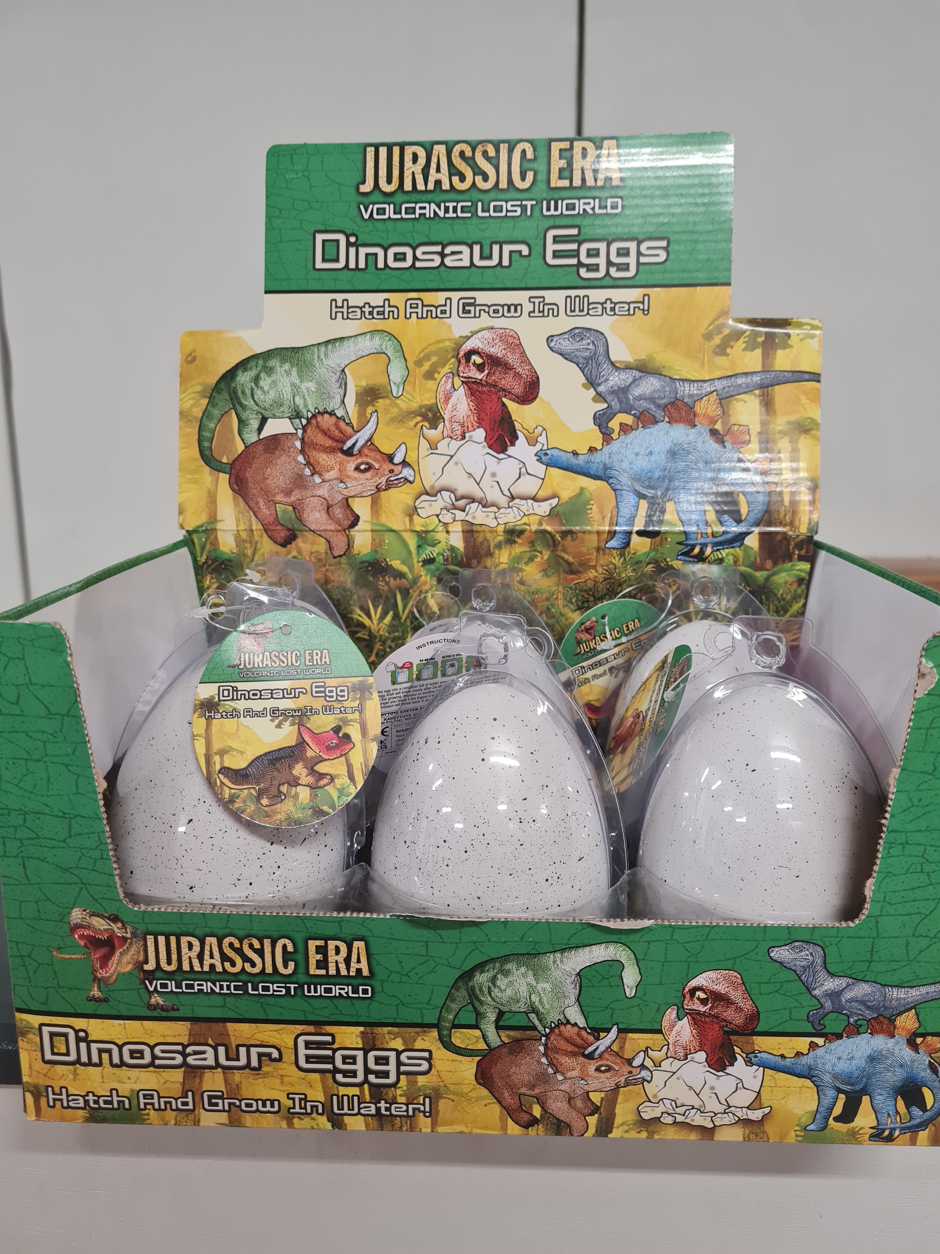 Dinosaur Eggs
