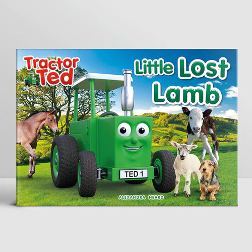 LITTLE LOST LAMB STORYBOOK