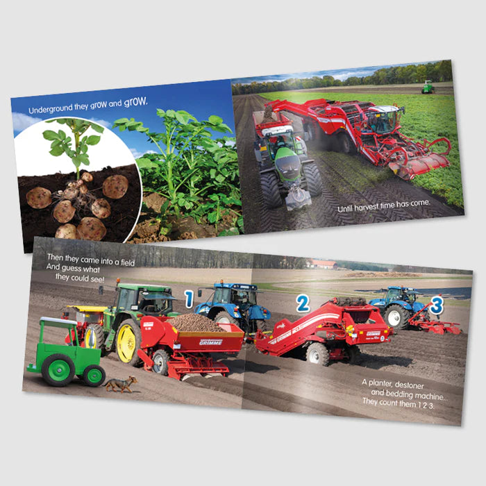 WHOSE BED? STORYBOOK