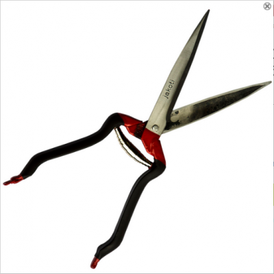 Jakoti Shears