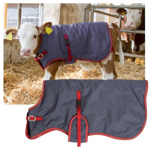 Calf Jacket