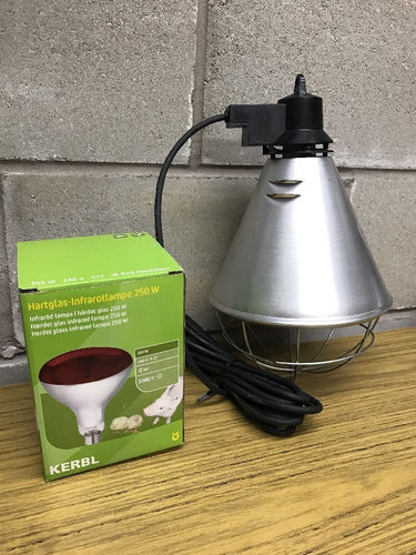 250 Watt Infrared Reb Bulb