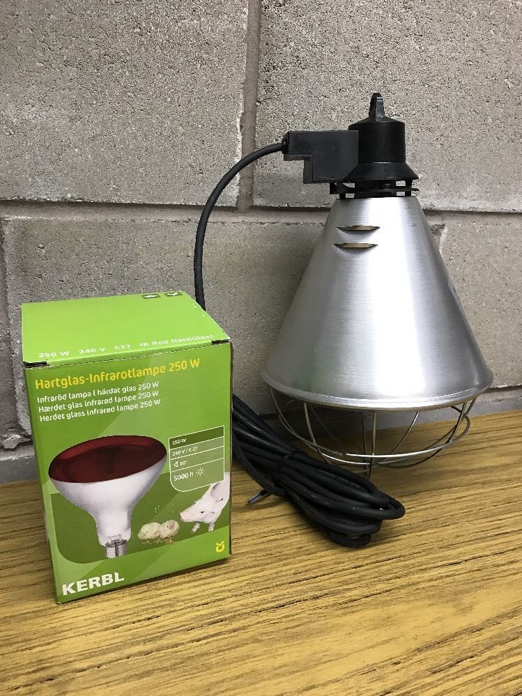 Infrared Heat Lamp